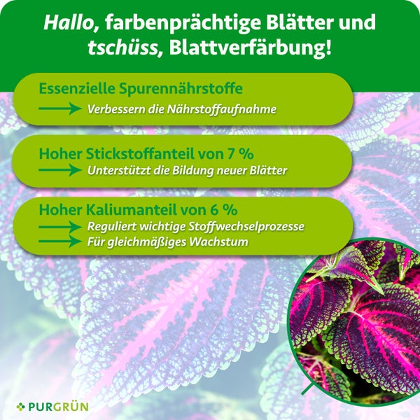 Infografik zum Purgruen Pflanzenduenger mit Erlaeuterung der Inhaltsstoffe Stickstoff und Kalium fuer gesundes Pflanzenwachstum.
