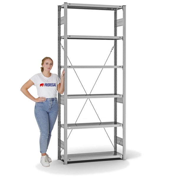 PROREGAL Fachbodenregal Stecksystem T-Profil Medium-Duty Grundregal HxBxT 250 x 100 x 30 cm 6 Ebenen Fachlast 220 kg Einseitig Nutzbar Verzinkt