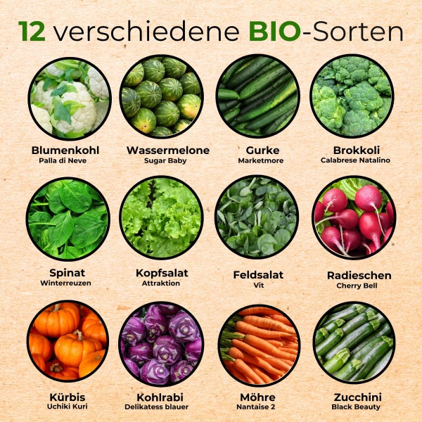 BIO Gemüsesamen-Set mit 12 Sorten (DE-ÖKO-001) Samen von Seedhero