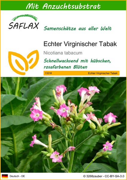 SAFLAX  - Echter Virginischer Tabak - Nicotiana tabacum - 250 Samen - Mit keimfreiem Anzuchtsubstrat