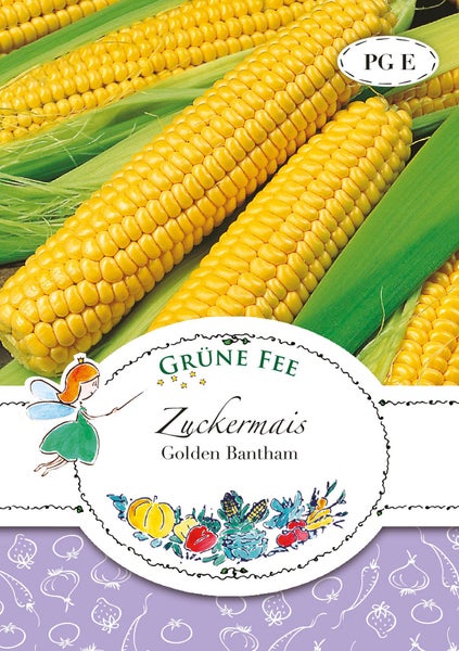 Samentüte für Zuckermais Golden Bantam mit Grüne Fee Logo und Abbildung von Maiskolben.