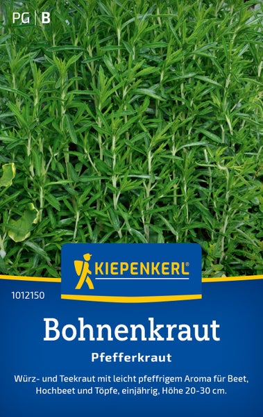 Kiepenkerl Bohnenkraut Saatgut mit pfeffrigem Aroma für Gartenbeete Hochbeete und Töpfe