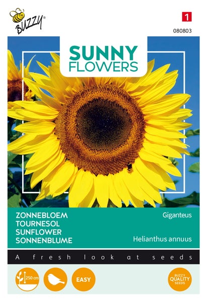 Sonnenblumen-Saatgutpackung