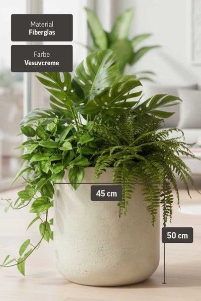 Pflanzkübel aus Fiberglas, 45 Zentimeter Durchmesser und 50 Zentimeter Höhe, bepflanzt mit Monstera und Farnen in einem hellen Raum.
