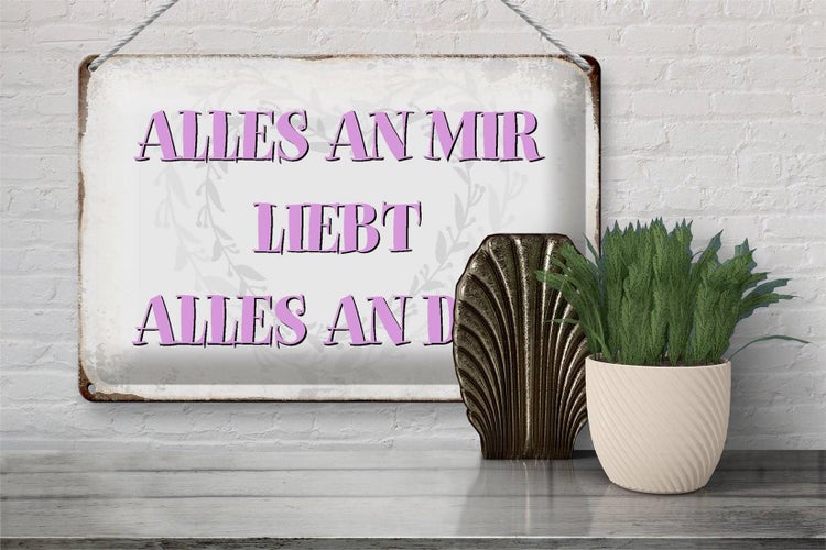 Blechschild Spruch 30x20cm alles an mir liebt alles an dir