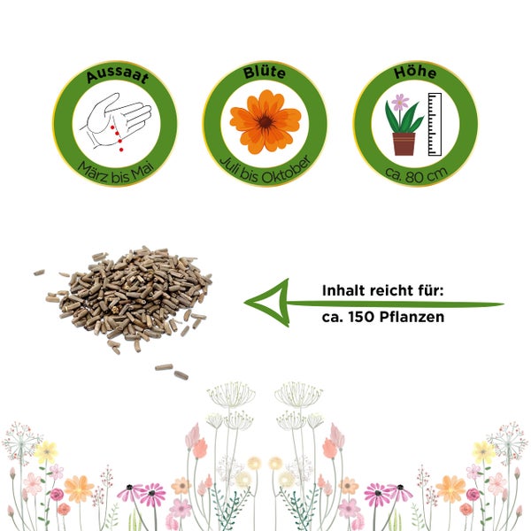 Samenkörner mit Symbolen für Aussaat von März bis Mai, Blüte von Juli bis Oktober, Wuchshöhe circa 80 Zentimeter, Inhalt für circa 150 Pflanzen.