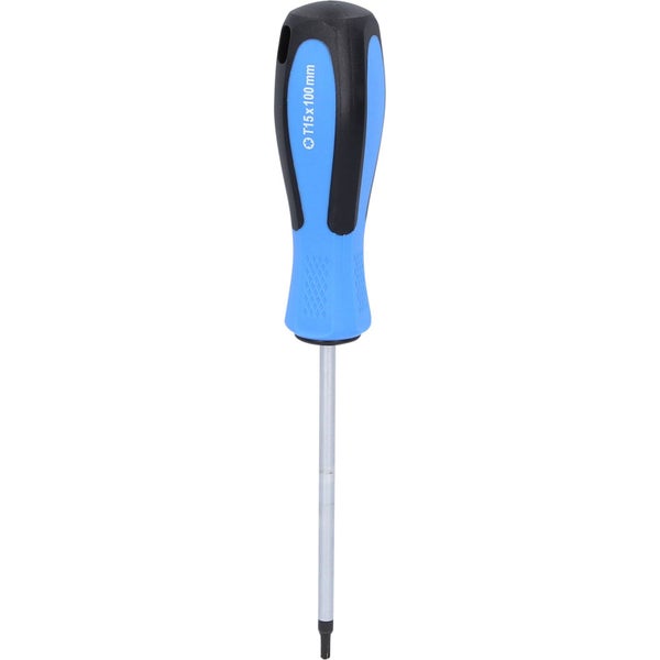 BRILLIANT TOOLS Schraubendreher TORX T15 x 100 mm - BT031044