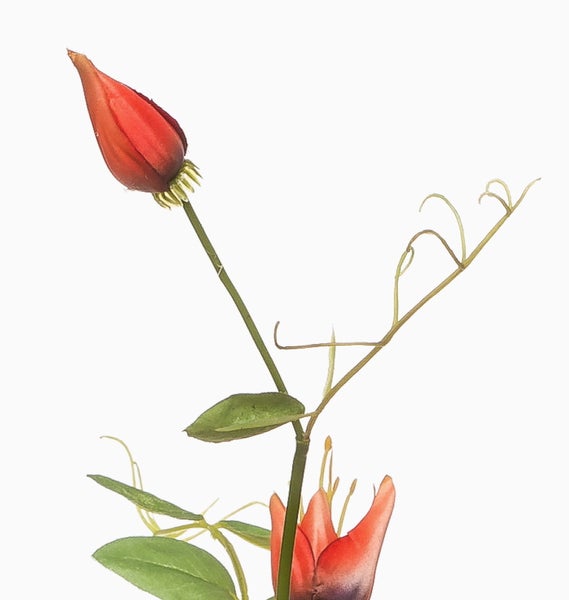 Künstliche Clematis mit roter Blütenknospe, grünen Blättern und Ranken.