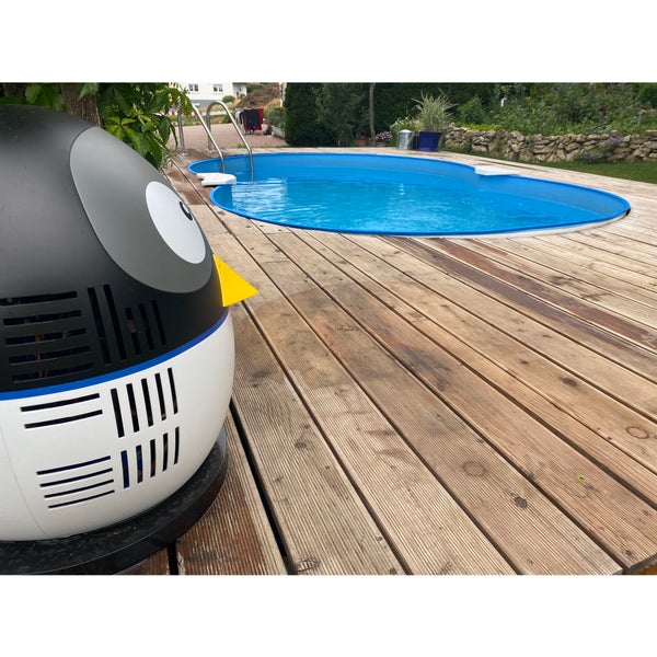 Aufnahme eines Pools mit Holzdeck und einer Poolheizung in Pinguinform