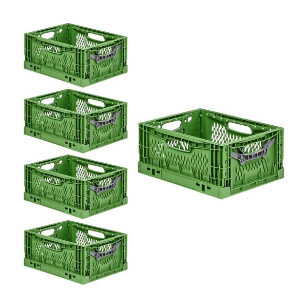 PROREGAL SuperSparSet 5x Stabile Profi-Klappbox Chameleon in Industriequalität HxBxT 18 x 30 x 40 cm 17 Liter klappbar stapelbar