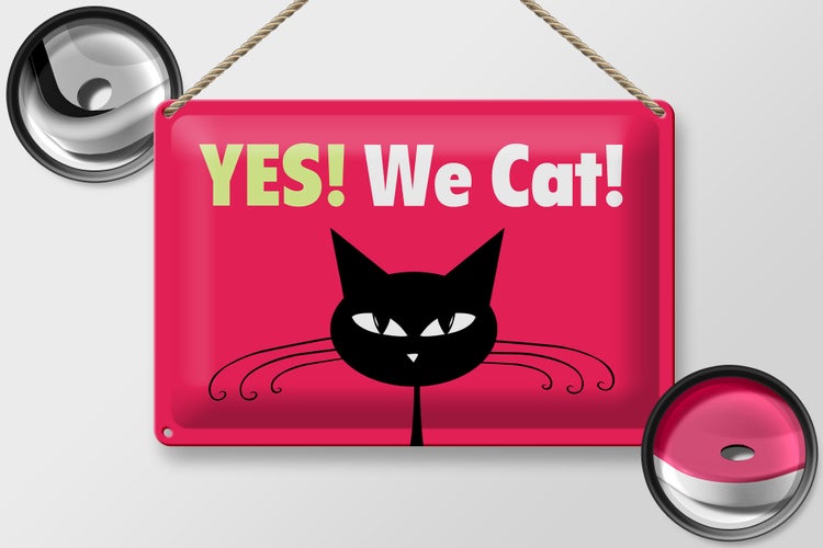 Blechschild Spruch 30x20cm Yes We cat Katze