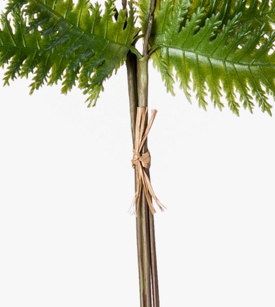 Künstlicher Farn mit Stielen, die mit einem Bastband zusammengebunden sind.