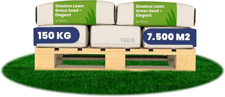 Palette mit Rasensamen Shadow Lawn Grass Seed Elegant für 750 m2, 150 Kilogramm und 7500 Quadratmeter