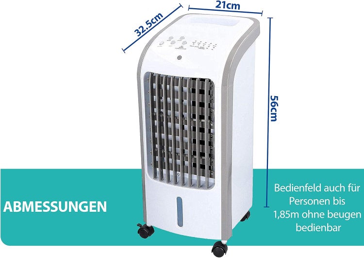 Nahaufnahme von Tulipa tarda Zwiebelblumen mit weißen Blütenblättern und gelber Mitte