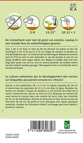 Anweisungen zur Aussaat von Zichoriensamen
