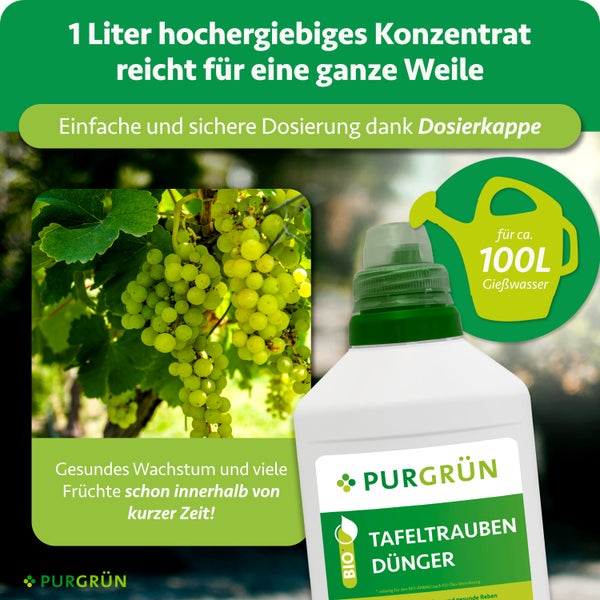 1-Liter-Flasche Purgrün Bio-Flüssigdünger für Tafeltrauben für circa 100 Liter Gießwasser, abgebildet mit einem lächelnden Gärtner im Strohhut.