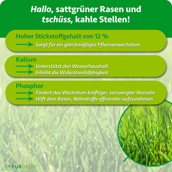 Infografik über die Wirkungsweise von Rasendünger mit Stickstoff, Kalium und Phosphor für ein gleichmäßiges Wachstum und starken Rasen.
