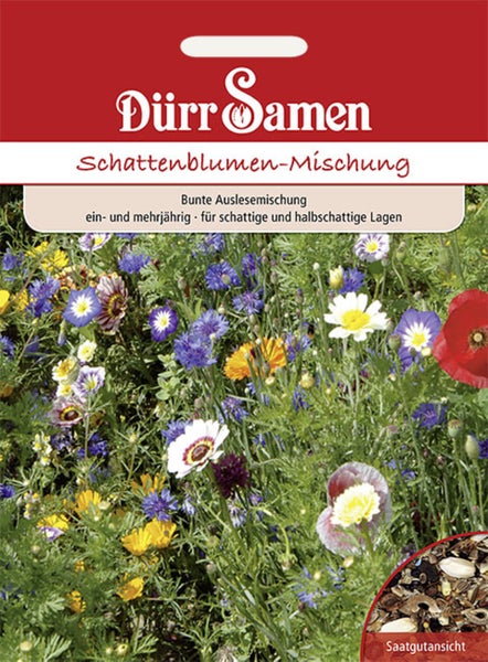 Dürr Samen Schattenblumen-Mischung, Saatgut für eine Mischung aus ein- und mehrjährigen Blumen für schattige und halbschattige Lagen.