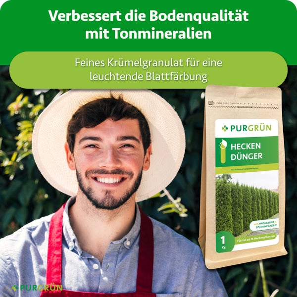 Ein glücklicher Gärtner mit Hut neben einer Packung Purgrün Heckendünger, der Tonmineralien und Magnesium für eine gesunde Heckenpflege enthält.