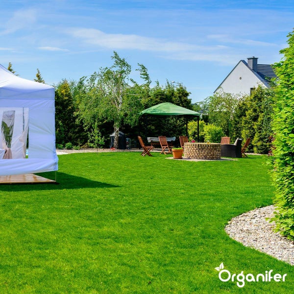 Kalkdünger mit Magnesium (40x = 800 kg für 16.000 m2) - Organifer