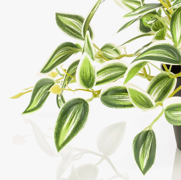 Nahaufnahme einer künstlichen Hängepflanze mit grün-weiß gestreiften Blättern.