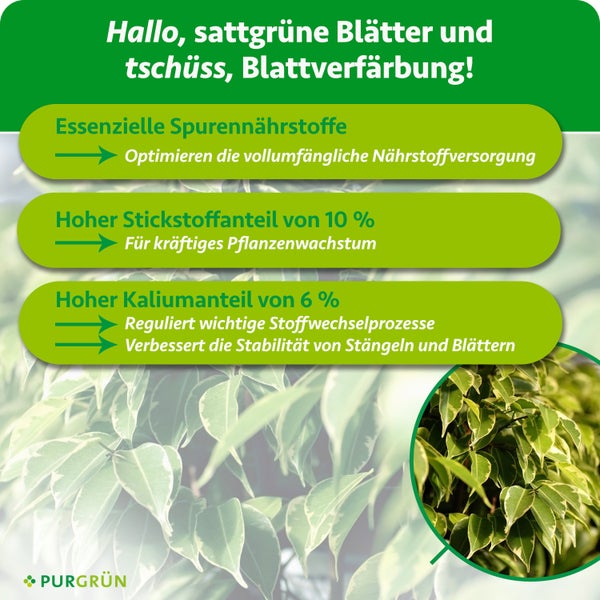 Infografik zu Purgrün Pflanzendünger mit Spurennährstoffen, 10 Prozent Stickstoff für Wachstum und 6 Prozent Kalium für Stabilität. Purgrün Logo.