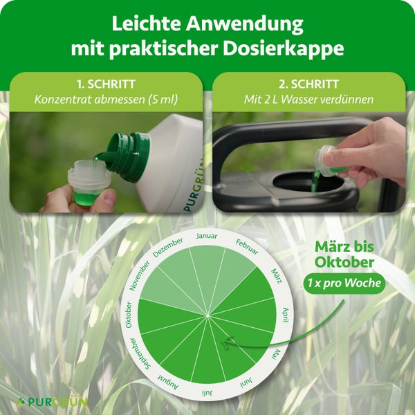 Anwendung von Purgrün Flüssigdünger: 5 Milliliter abmessen, mit 2 Litern Wasser mischen. Anwendung März bis Oktober wöchentlich. Purgrün Logo.