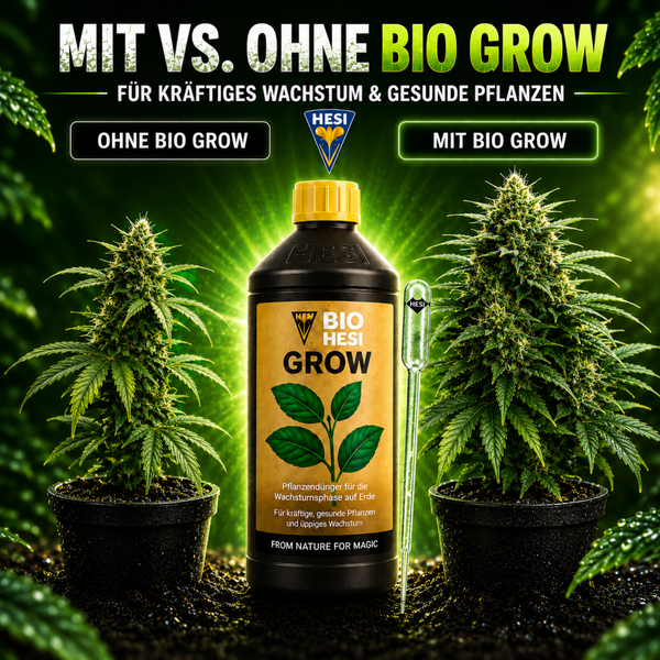 Hesi Bio Grow Pflanzendünger im Vergleich zwischen einer Pflanze ohne und einer mit Düngung zur Förderung von kräftigem Pflanzenwachstum.