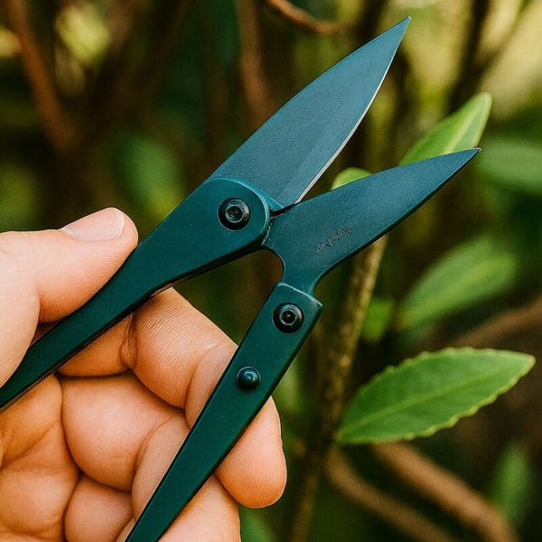 Nahaufnahme einer Hand, die eine Gartenschere hält