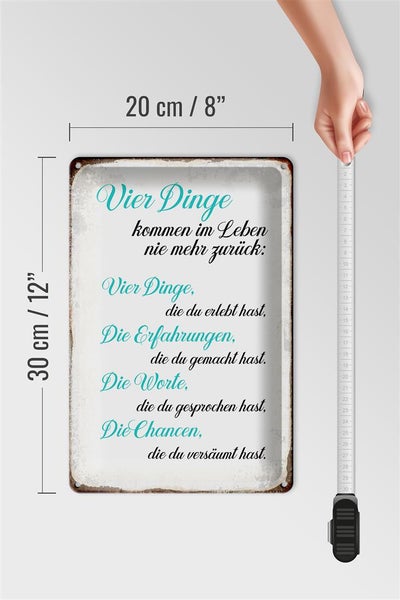 Blechschild Spruch 20x30cm 4 Dinge kommen nie mehr zurück