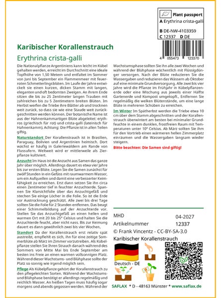 SAFLAX  - Karibischer Korallenstrauch - Erythrina crista-galli - 6 Samen - Mit keimfreiem Anzuchtsubstrat