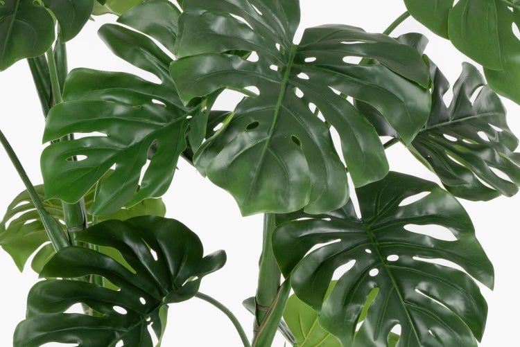 Künstliche Pflanze im schwarzen Topf mit naturgetreuem Stamm und Luftwurzeln.