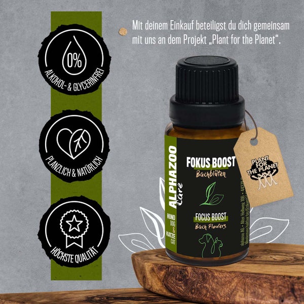 ALPHAZOO Fokus-Boost Bachblüten 15g für Hunde und Katzen I Konzentration Globuli