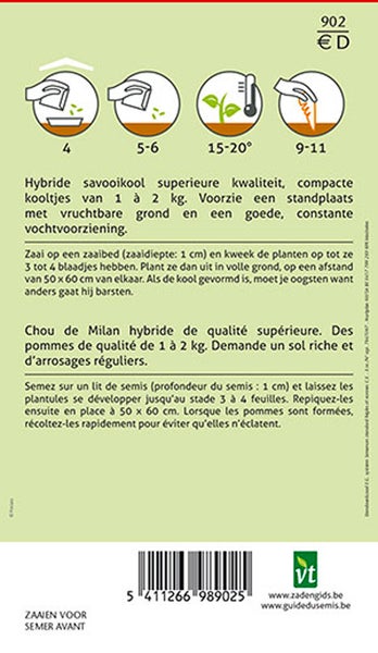 Informationen zur Aussaat und Pflege von Hybrid-Savoykohl