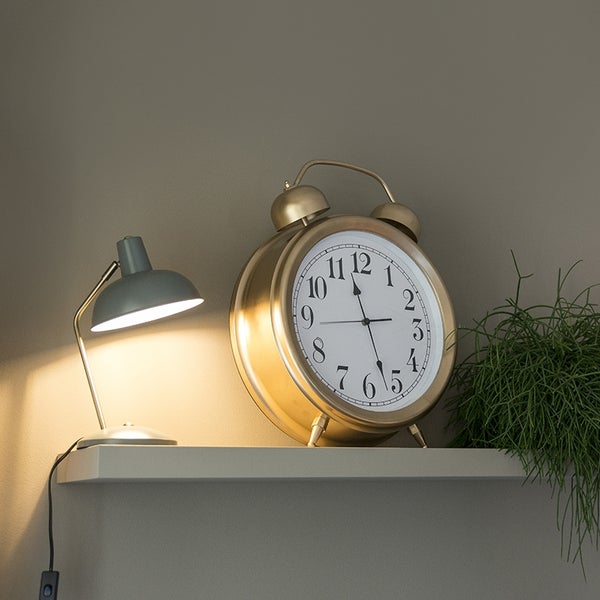 Tischlampe, Wecker und Grünpflanze auf einem Regal