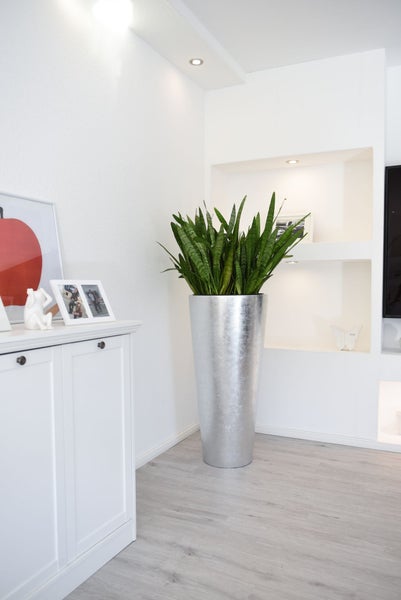 Hohes silberfarbenes Pflanzgefäß mit einem Bogenhanf in einem hellen modernen Wohnraum neben einem weißen Sideboard.