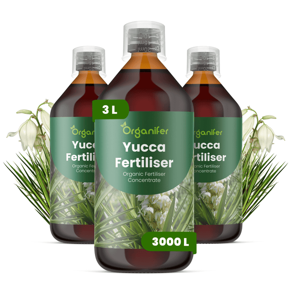 Drei Flaschen Organifer Yucca Dünger, organisches Düngerkonzentrat, 3 Liter für 3000 Liter Gießwasser.