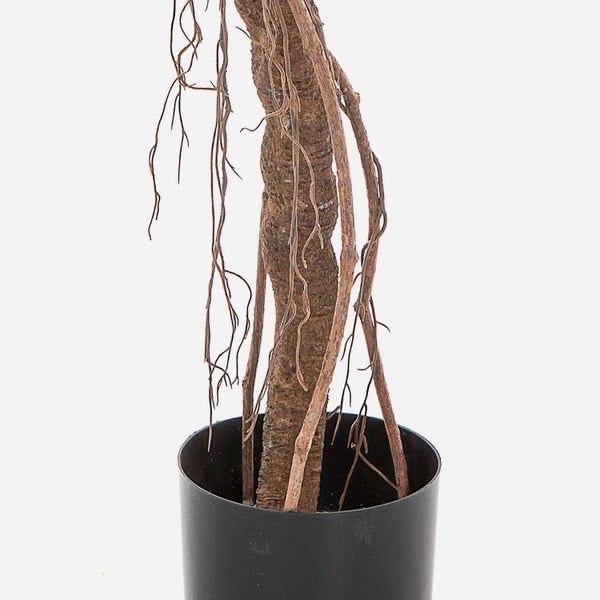 Künstliche Pflanze mit strukturiertem Stamm und Luftwurzeln in schwarzem Topf.