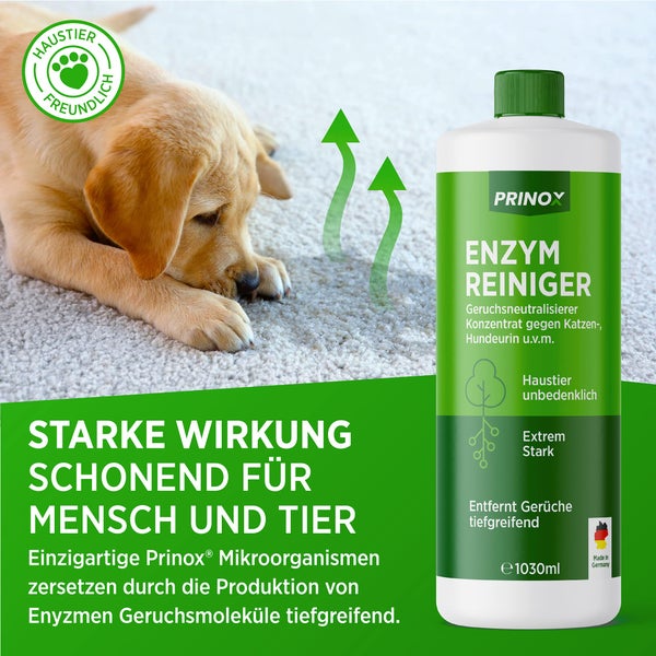 PRINOX® 1030ml Enzymreiniger Konzentrat inkl. Mischflasche I STARKER GERUCHSENTFERNER I Ergibt bis zu 40L Geruchsneutralisierer I Beseitigt Hundeurin, Katzenurin Geruch tiefgreifend uvm. I Made in DE