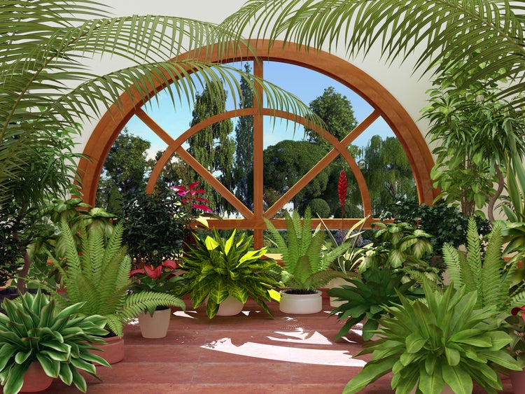 Botanischer Garten mit verschiedenen Pflanzen und Holzfenster