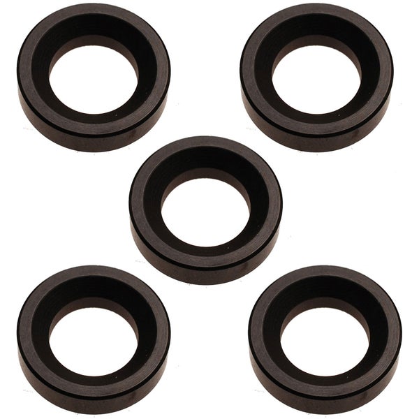 Fünf schwarze Unterlegscheiben