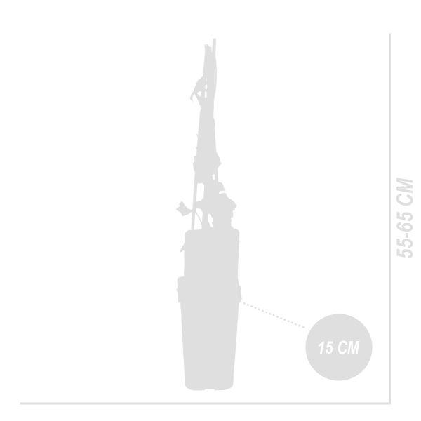 Abmessungen einer Topfpflanze: 55 bis 65 cm Höhe, 15 cm Topfdurchmesser