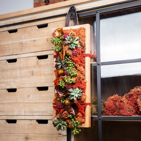 Dekoratives Moosbild mit Pflanzenarrangement an der Wand