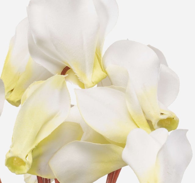 Nahaufnahme einer künstlichen weißen Alpenveilchenblüte aus Stoff.