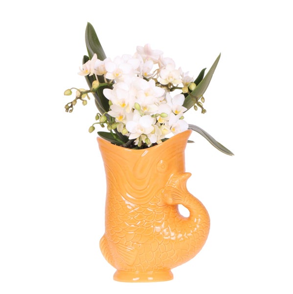 Arrangement mit Orchideen, Sukkulenten und Zitrusfrüchten in dekorativen gelben Fischvasen