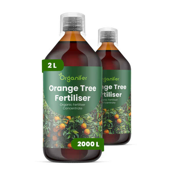 Organifer Orangenbaum-Dünger, organisches Düngerkonzentrat, 2 Liter Flasche für 2000 Liter Gießwasser.