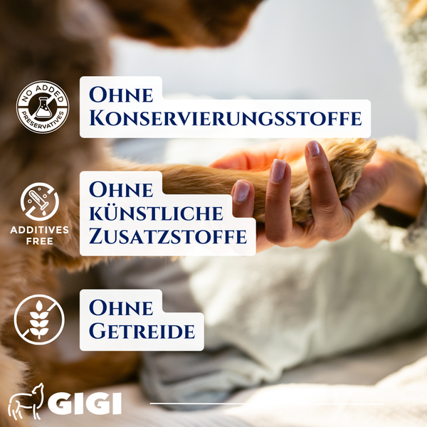 Hundepfote in einer Hand mit Hinweisen: Ohne Konservierungsstoffe, ohne künstliche Zusatzstoffe und ohne Getreide. GIGI Logo.
