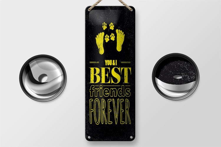 Blechschild Spruch Freunde You I best friends forever 10x27cm