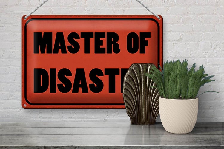 Blechschild Spruch 30x20cm Master of Disaster Schild