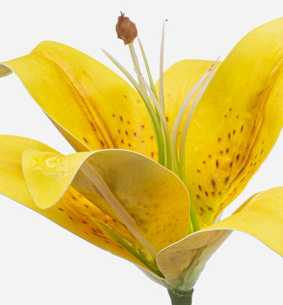 Künstliche Pulsatilla mit drei weißen, gefiederten Blütenköpfen und grünen Stielen.